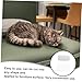 Hohopeti 1 Roll Heavy Duty Scratch Tape for Pets Transparent Pet Furniture Protector Easy to Apply Cat and Dog Shape for All Furniture Types