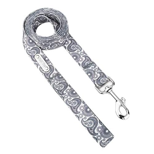 Mighty Paw Grey Paisley Designer Dog Leash - Soft Premium Polyester With Neoprene Padded Handle For Ultimate Comfort - All Metal Hardware For Most Playful Dogs - Built To Last - Perfect Ever