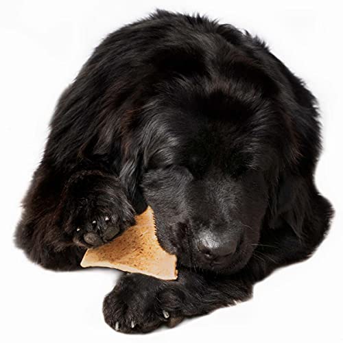 Sitka Farms Bundle With Beef Cheek Chips Gullet Dusted (10 Count) + Crunchy Beef Sticks 5" (50 Count) Special Chews For Aggressive Chewers #TOP4