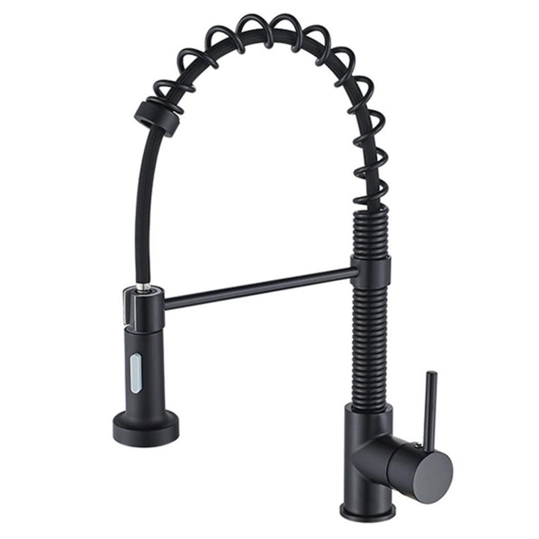 Robinet d'évier de cuisine commercial avec douchette à tirette double fonction et ressort flexible