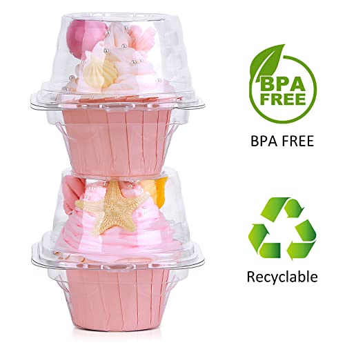 Image of Cupcake Boxes Individual Cupcake Containers, 25 Packs Regular Single Cupcake Holder High Topping for Muffins, Thicker Stackable Plastic Cupcake Carrier for Party (25 pack)