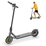 Riceel R50 Electric Scooter, Foldable Electric Scooter, Speed up to 25 km/h, 30 km of autonomy, 8.5" Solid Tire, Maximum Load 120 kg, Dual Braking