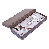 SOPOTUTU 1 Juego De Pluma Estilográfica De Plumero Natural Estilo Antiguo Incluye 1 Bote De Tinta y 5 Puntos De Reemplazo