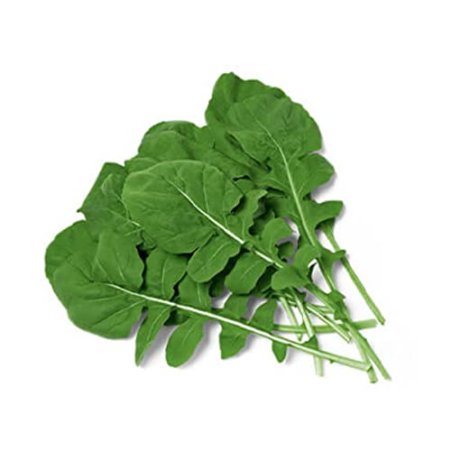 Sementes Rúcula Antonella Cultivada Peletizada (1000un) ISLA