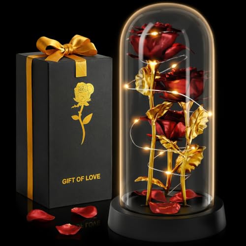Kotko Rose in Glass Dome in Gift Box LED Light Up Battery Powered (Red)