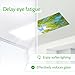 Forest Magnetic Light Covers 8-Pack (2×4 ft) – Tree Canopy Ceiling Filters, Tool-Free Magnetic Mount, Flame-Resistant, Soft Ambient Lighting, Classroom/Home/Office