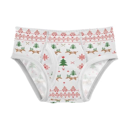 visesunny Boys Cotton Underwear Nordic Knitted Pattern Printed Toddler Soft Training Briefs Size 2T-8Y for Kids