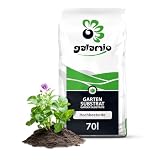 GALAMIO - Hochbeeterde und Gemüseerde – organisch gedüngte Pflanzerde und Gartenerde mit Kompost für Hochbeet, Kräuter und Gemüsepflanzen – 70 l pro Sack – 1 Sack