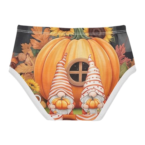 Toddler Underwear Custom 2t Cotton Panties Little Girl Flower Kids Undies Briefs Cute Autumn Gnomes Pumpkin2