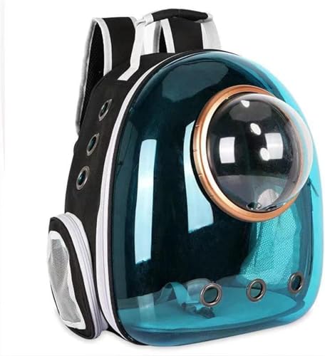 ybgpobNpbN Lp p LpL[obO XO ybgpi FDJvZ^Cv  Y ʋC e v S ʋC y ^т₷ a@ UsALAq (u[)