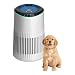 MERONTE Luftreiniger für Schlafzimmer, Zuhause, allergischer Luftreiniger für Schlafzimmer, Büro, Raucherzimmer, HEPA-Filter, Luftreiniger,Weiß, 1 Pack+3 Modi