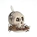 Melody Jane Dollhouse Skull Candle Miniature Macabre Halloween Accessory