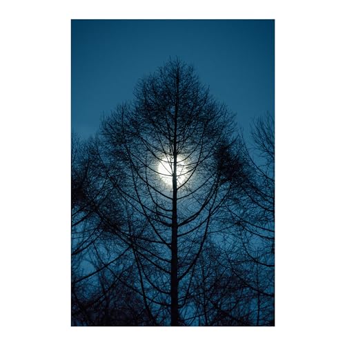 Sigma 16-300mm F3.5-6.7 thumbnail 7