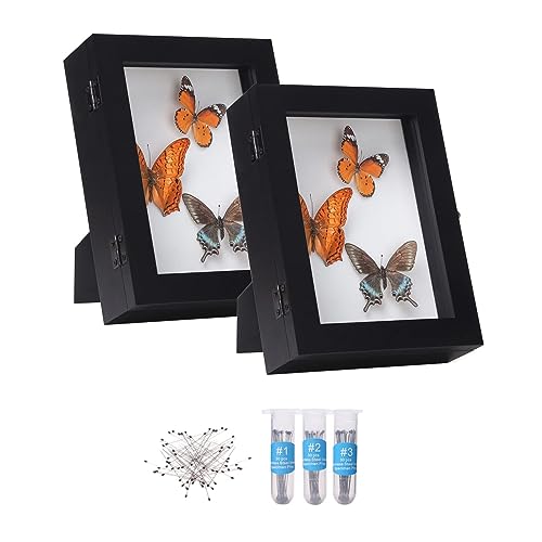 IHEIPYE Insect Display Case 2 Pack Wall Mount Bug Display Case Collection Box for Butterfly Specimen with Anti Fade UV Protection Acrylic Top Eva Foam Pinning Board and 3 Sizes Pins Black