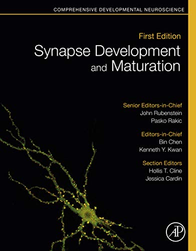 Synapse Development and Maturation: Comprehensive Developmental Neuroscience (English Edition)