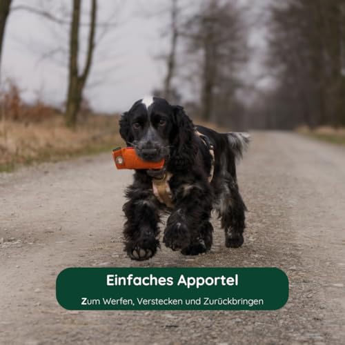 Futterdummy Romneys Suchen Dummy – Mini-Dummy für kleine Hunde