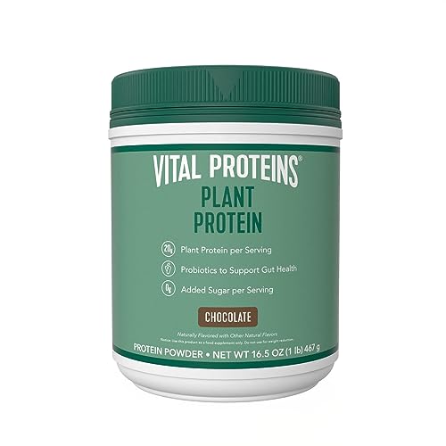 Vital Proteins Protein Powder – 20g Plant Based Protein with Chickpea – 1B CFU Probiotic for Gut Health, No Added Sugar – Chocolate, 16.5 oz