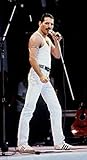 Poster, NEU Get Motivation Poster, Motiv: Queen, eine British Rock Band, Freddie Mercury, Brian May, Roger Taylor, John Deacon, 30,5 x 45,7 cm
