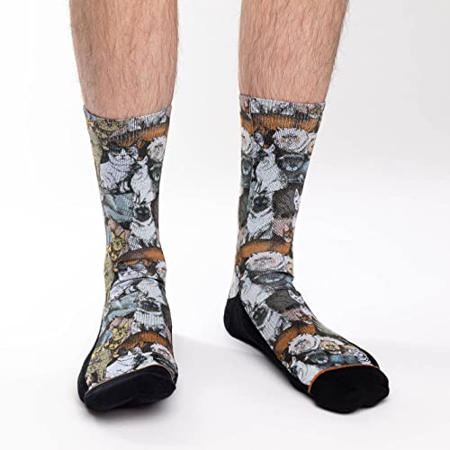 Good Luck Sock Men's Social Cats Socks, Adult, Shoe Size 8-133