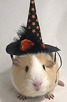 A Guinea Pig Halloween Notebook 1698868510 Book Cover