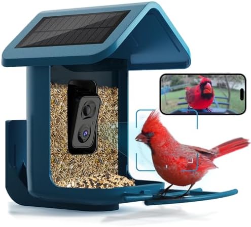 Bird Feeder with Camera Solar Powered : Smart Camera Bird Feeder 2K Live Feed Cam for Outdoor Backyard - AI Identify Auto Capture Videos Pictures, Gifts for Birdlover Mom Dad, 2.4GHz WiFi