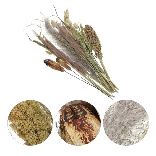 Ramo de pasto pampas seco natural Garneck para decoración miniatura 6