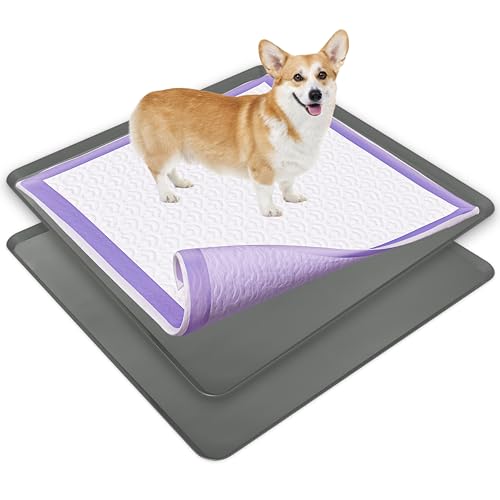 Image of TidyFriend 2 Pack Dog Pee Pad Holder Tray Fits for 36 inch x 36 inch Wee Wee Pee Pads - Stable Grip, Raised Edges, Quick-Wipe Silicone Surface Dog Potty Tray Holder for Indoor Flooring Protection (Grey)