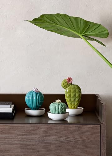 Difusor de porcelana LLADRÓ Astrophytum Cactus con aroma miniatura 3