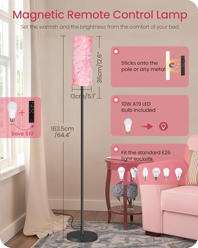 Image of Dimmable Floor Lamps for Living Room with Remote and Foot Switch, 64.4 inch Modern Standing Tall Lamp, Corner Lamp for Bedroom, Bulb Included, 3000K-6500K, FCC Listed, Sakura Pink and Black CP06LD05W1