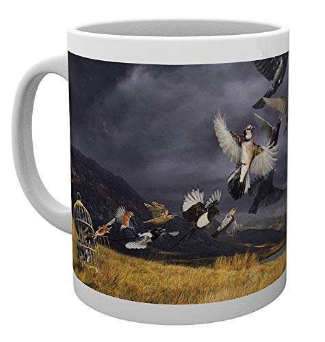 GB eye David Gilmour LP Cover 10oz Ceramic Mug