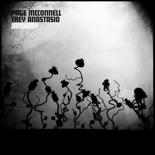 January - Vinyl release thumbnail