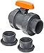 Hayward PVC Ball Valve, Two Piece, True Union, EPDM Seal, 1" Socket/Threaded