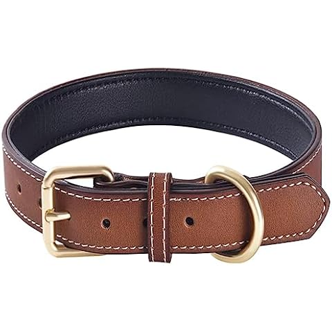 Genuine Leather Padded Dog Collar for All Breeds Cover