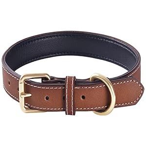 Genuine Leather Padded Dog Collar Comfortable Strong Soft Collars Best for Small Medium and Large Breed Dogs （Brown）(S)