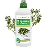 Purgrün