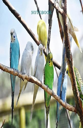 Bild: Notebook f�r 23,07 EUR bei amazon.de