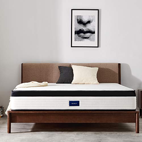 https://m.media-amazon.com/images/I/41vsFi4hWGL._SL500_.jpg