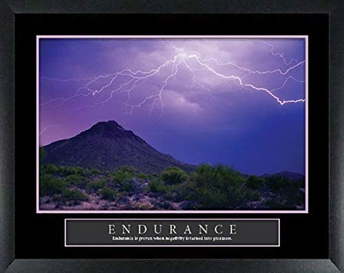 4 Framed Endurance Opportunity Islands Goals Dolphin Scenic Motivational Posters 22X28 #TOP1