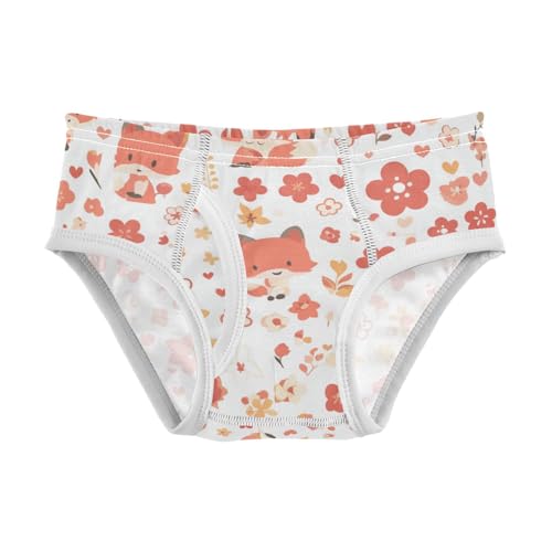 KLL Cute Fox Pattern Foxy Endless Little Boys Comfort Underwear Breathable Undies