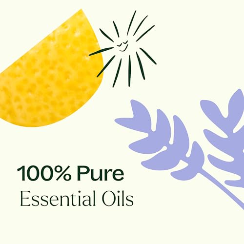 Plant Therapy 680912010894 Top 6 Usda Organic Essential Oil Set thumb #4