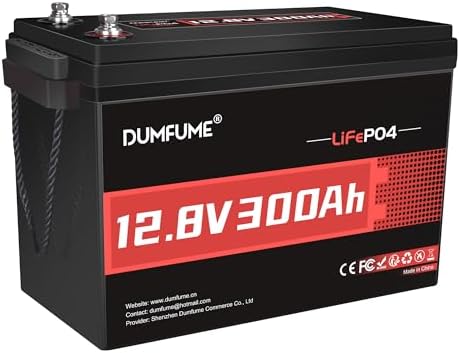 12V 300Ah Lithium LiFePO4 Battery,200A BMS 3840Wh Rechargeable Li...