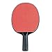 Champion Sports PN4 Table Tennis Paddle