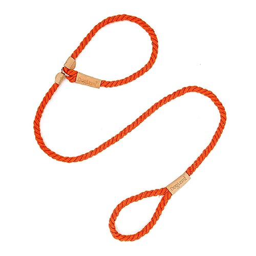 WUUISDNX Comoda corda da addestramento per