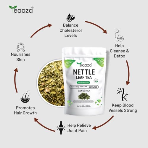 Image of Teaaza Organic Nettle Leaf Tea| Nettle Tea Leaves sourced from Himalayas| For Kidney Detox, Raising Hemoglobin & Joint Health, 10 Grams