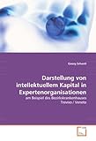  Darstellung von intellektuellem Kapital in Expertenorganisationen: am Beispiel des Bezirkskrankenhauses Treviso / Veneto