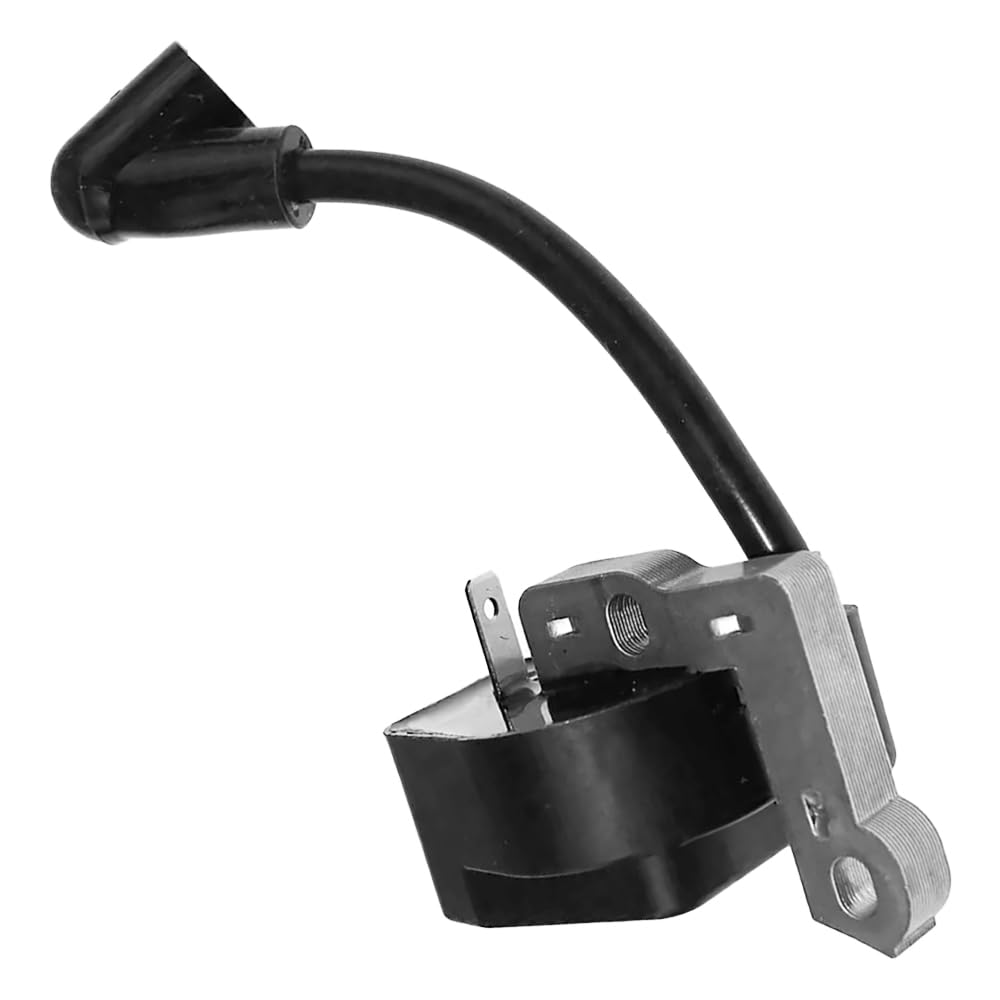 Sostuzione Per Bobina Di Accensione Per Homele