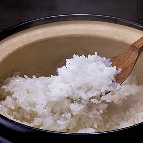 ߂҂肩 3kg kCY XC[gxW^ut@Ng[甭