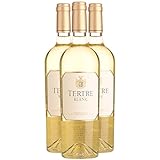  Tertre - Blanc 2021 - Château du Tertre - Vin de France - Vin Blanc (3x75cl)