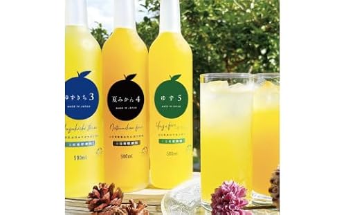 柑橘 ジュース 濃厚希釈 山口県産 3種セットA 500ml×3本 セット/夏みかん 柚子 ゆずきち |HG000824