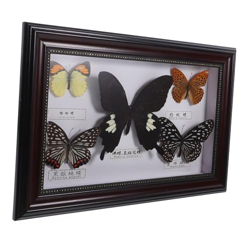Cadre photo bois décoration élégante maison lot de 5 pièces insectes